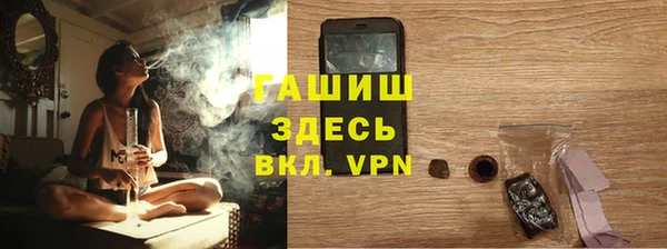 индика Богданович