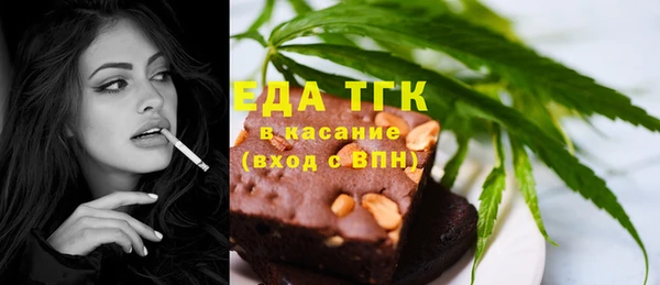 индика Богданович