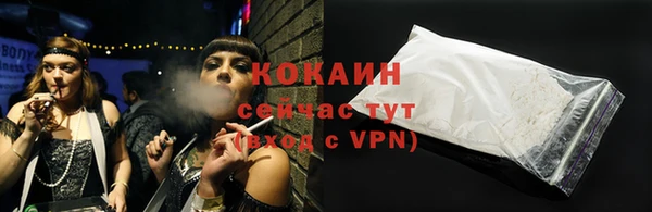 индика Богданович