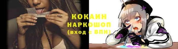 индика Богданович