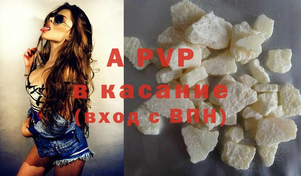 индика Богданович
