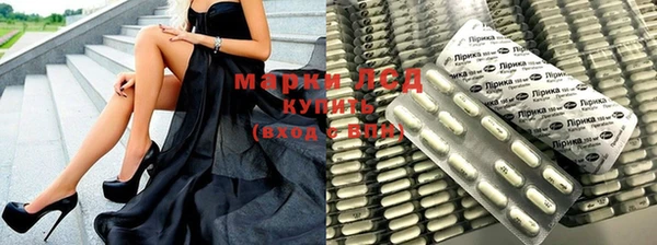 индика Богданович