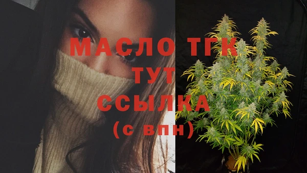 индика Богданович