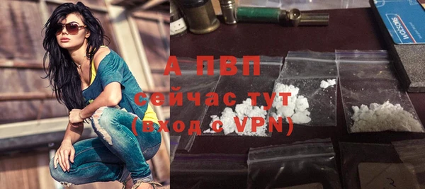 индика Богданович