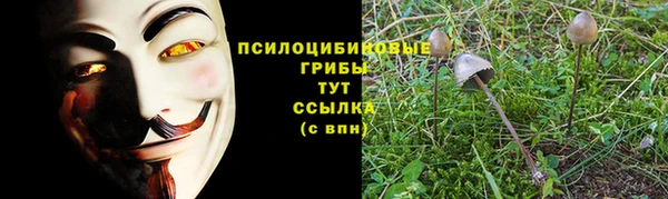 кристаллы Богородск