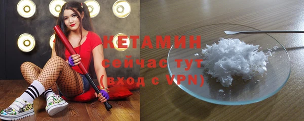 индика Богданович