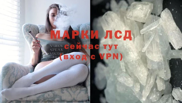 индика Богданович