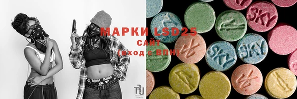 индика Богданович