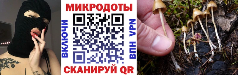 Галлюциногенные грибы мицелий  Ставрополь 